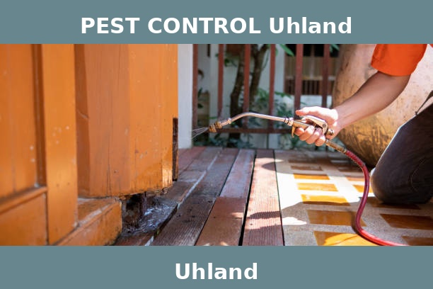 PEST CONTROL Uhland